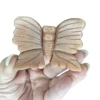 Cat’s Eye Butterfly Carving -Home Decor Store 47F94134 0BA7 4D63 843D B476F85ACC5D