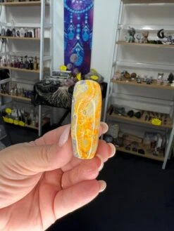 Bumblebee Jasper Freeform -Home Decor Store 4821DF25 A101 4FB7 90E5 A7C58104EAE2