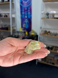 Caribbean Calcite Dinosaur Head -Home Decor Store 4909AE40 3C53 4899 8CB6 947BA2F11C38