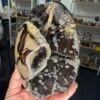 Septarian Freeform -Home Decor Store 4976DB0A E5FE 4653 B911 8F5FDE696849