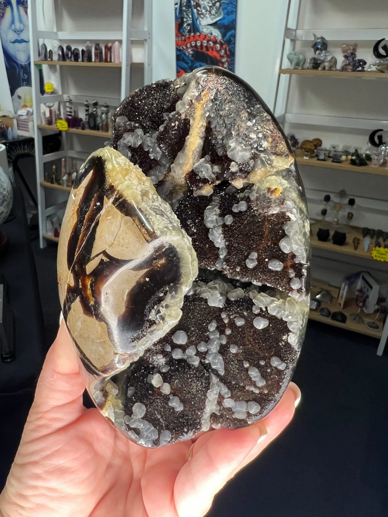 Septarian Freeform 3 Septarian Freeform
