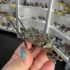 Pyrite Wheelbarrow