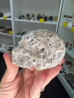 Sphalerite Skull -Home Decor Store 4FEDB16B 63AA 4C62 95C4 754AC823619C