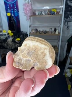 Chocolate Calcite Skull -Home Decor Store 5320448A 1586 470A A0AA 6DB223CF8E3E