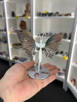 Ocean Jasper Butterfly -Home Decor Store 53D06992 EE98 4076 9AF3 DDEB2EE3C0C3