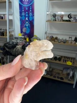 Flower Agate Dinosaur Head