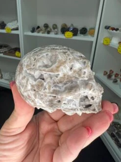 Sphalerite Skull -Home Decor Store 64696375 B2E0 4AB3 8060 8F562F16B5F1