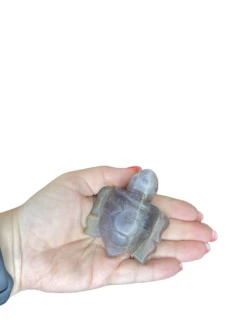 Fluorite Turtle -Home Decor Store 64CCE364 213E 4027 8E6E D47D9A176994