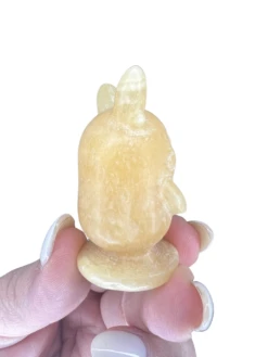 Honey Calcite Pokemon Character -Home Decor Store 66AF1259 0018 4EA3 B753 59EE94011DD8