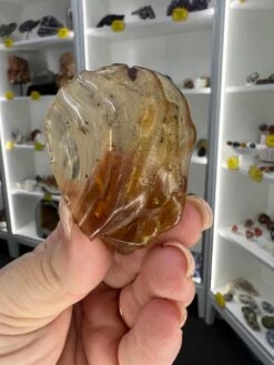 Amber Pack -Home Decor Store 66C6697F 51B3 42CE BE9C 48C5DAA8388E