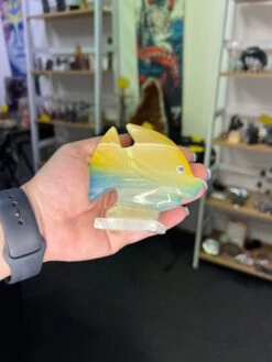 Onyx Fish -Home Decor Store 6776963E DF3A 4A9D 9EFC 97C2A56F42FD