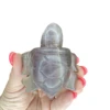 Fluorite Turtle -Home Decor Store 6836A970 2CD2 41E0 A645 260A0827E43F