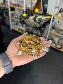 Tiger Eye Turtle -Home Decor Store 6B218F5C 668D 4613 A6C8 D7B862B783E2