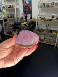 Amethyst X Mexican Lace Agate Shell