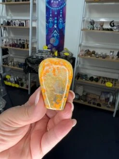 Bumblebee Jasper Freeform