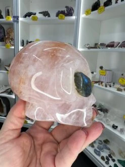 Rose Quartz Alien Head With Labradorite Eyes 12 Rose Quartz Alien Head With Labradorite Eyes -Home Decor Store 722FD2CD 3229 426F 9B00 A20F34F8082A