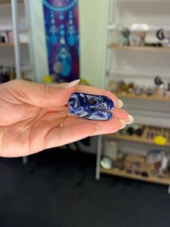 Sodalite Dinosaur Skull -Home Decor Store 759F2B72 F2FD 4F76 BBEB 304DD46486F6