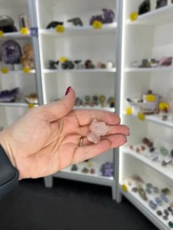 Rose Quartz Hello Kitty -Home Decor Store 7641EF82 9B53 4536 A09B 7A6A958E575B