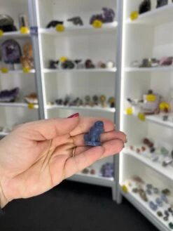 Blue Aventurine Squirtle -Home Decor Store 76B8D5CA 24BA 415D 86E3 9F26915E30C4