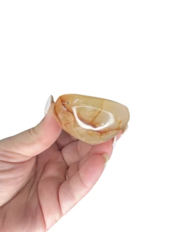 Geode Carnelian Freeform / Bowl -Home Decor Store 7E74F33A F5F3 4C38 869F E04931FBF611