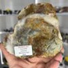 Dinosaur Poo / Coprolite -Home Decor Store 7F5FE94C 758C 40D7 B459 315126F92A1E