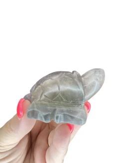 Fluorite Turtle -Home Decor Store 7F71E5FF C008 448D B918 5659454176FB