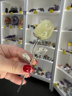 Citrine Forever Rose