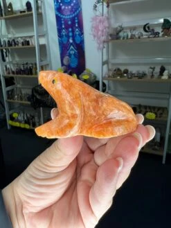 Sunstone Frog -Home Decor Store 8679799F 9B3E 4BDA B1A3 74CC6772F6C3