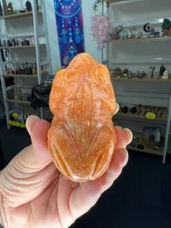 Sunstone Frog -Home Decor Store 86917F7E 62C0 45AE A412 1A9F2CB61B06