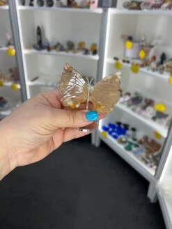 Flower Agate Butterfly -Home Decor Store 877047CC 629F 4A4C 86E0 68605A6795EE