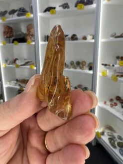 Amber Pack -Home Decor Store 8E14D28E 6CD9 4877 9770 74EB5E0720D5