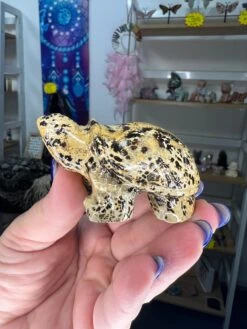 Picture Stone Jasper Turtle -Home Decor Store 8EEF657D 0F5E 4A0A 8A9B D0D6FFE621AF