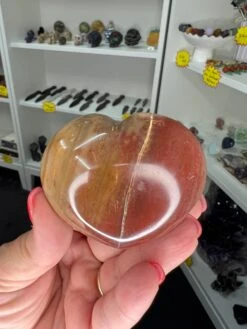 Petrified Wood Heart