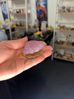 Amethyst X Mexican Lace Agate Shell -Home Decor Store 92886158 1B6D 4D95 A9B2 6E8B575DED61