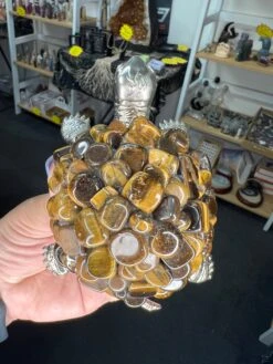Tiger Eye Turtle -Home Decor Store 967C19FD 5471 40A7 81C5 96DDAA57C1C0