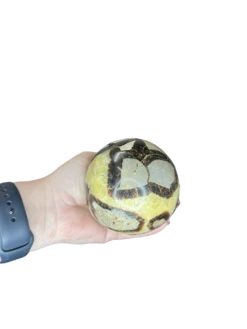 Septarian Sphere With Stand -Home Decor Store 9B1D90FD CACF 4543 B8F7 DE509DA3DB2A