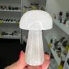 Selenite Mushroom -Home Decor Store 9C18B3CF 7681 4457 B6B2 ED3429A37DCA