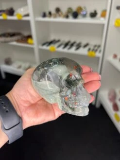 Bloodstone Skull -Home Decor Store 9CAAA1A9 6F05 4075 89EE 044D08D0F21C
