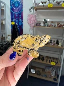 Picture Stone Jasper Turtle