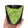 Peridot Pot -Home Decor Store A53999F8 571F 4B27 AF74 ECAB8001796A