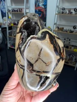 Septarian Freeform 12 Septarian Freeform -Home Decor Store AC196197 7BBA 4C59 9A7E 0E6BF2EFD4D5