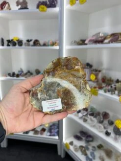 Dinosaur Poo / Coprolite -Home Decor Store AD1A95B1 850D 4AF7 BBD5 B1D8CD17DA3D