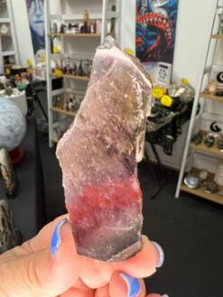 Auralite 23 Slice -Home Decor Store B002DF9B 9328 4B3F ADA7 DE02AE865B48