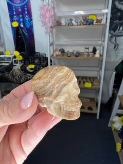 Chocolate Calcite Skull