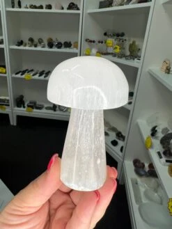 Selenite Mushroom -Home Decor Store B0EFB0FF 4CB9 41FF B147 51A016B6142D