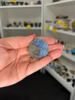 Labradorite Lion Head Disk -Home Decor Store B3F51E5F D170 4DF7 B1A4 B6753478BE9A