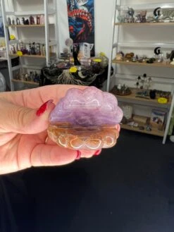 Amethyst X Mexican Lace Agate Shell -Home Decor Store B40987B3 5B4D 45B4 9215 477AF38B71CD