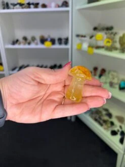 Golden Healer Mushroom -Home Decor Store B7375139 FB18 4428 B135 5E01DCF19335