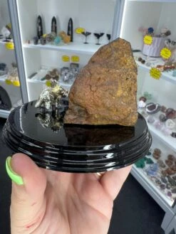 Boulder Opal With Dinosaur -Home Decor Store C3E2512B 5AD4 4703 A5CE B53A35A0CC9B