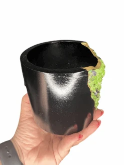 Peridot Pot -Home Decor Store C45FF4C4 3265 4243 BC4A B132DD7C44E6